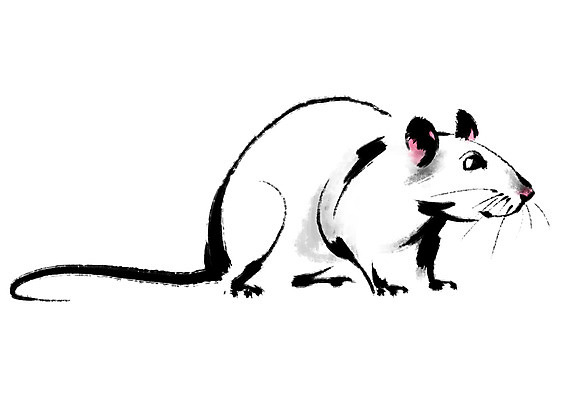 PSD 한마리 일러스트 캘리그라피 사람없음 십이지신 쥐띠 쥐 국내일러스트 1 설치류 파일형식