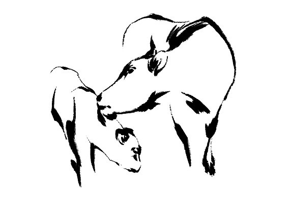 PSD 두마리 일러스트 캘리그라피 사람없음 십이지신 소띠 소 국내일러스트 2 포유류 파일형식