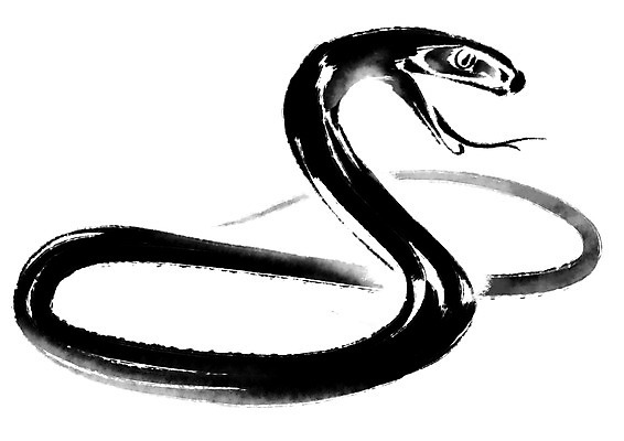 PSD 한마리 일러스트 캘리그라피 사람없음 십이지신 뱀띠 뱀 국내일러스트 1 파충류 파일형식