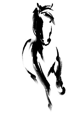 PSD 한마리 일러스트 캘리그라피 사람없음 십이지신 말_동물 말띠 국내일러스트 1 포유류 파일형식