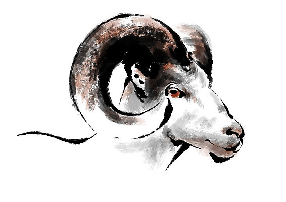 PSD 한마리 일러스트 캘리그라피 사람없음 십이지신 양띠 양 국내일러스트 1 포유류 파일형식