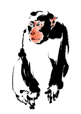 PSD 한마리 일러스트 캘리그라피 사람없음 십이지신 원숭이띠 원숭이 국내일러스트 1 포유류 파일형식