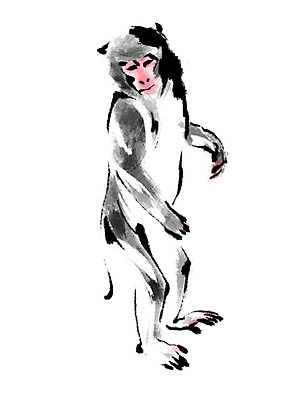 PSD 한마리 일러스트 캘리그라피 사람없음 십이지신 원숭이띠 원숭이 국내일러스트 1 포유류 파일형식