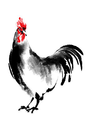 PSD 한마리 일러스트 캘리그라피 사람없음 십이지신 닭띠 닭 국내일러스트 1 조류 파일형식