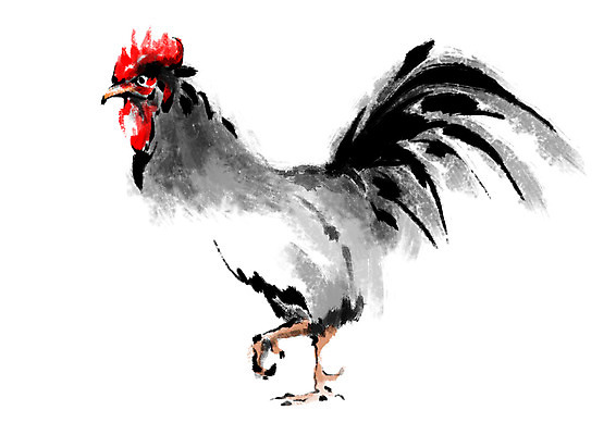 PSD 한마리 일러스트 캘리그라피 사람없음 십이지신 닭띠 닭 국내일러스트 1 조류 파일형식