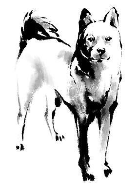 PSD 한마리 일러스트 캘리그라피 사람없음 십이지신 개 개띠 국내일러스트 1 포유류 파일형식