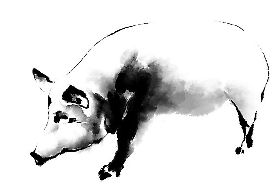 PSD 한마리 일러스트 캘리그라피 사람없음 십이지신 돼지띠 돼지 국내일러스트 1 포유류 파일형식