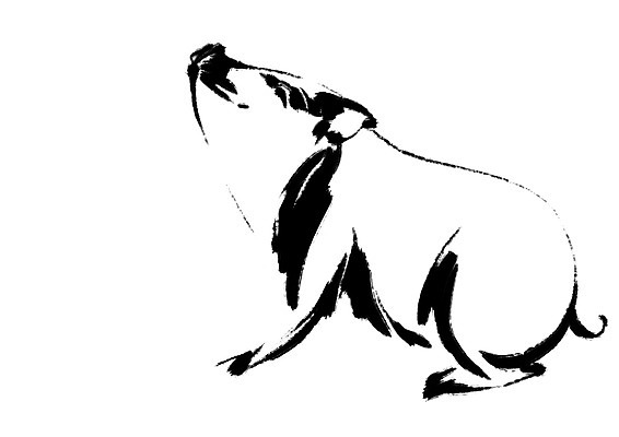 PSD 한마리 일러스트 캘리그라피 사람없음 십이지신 돼지띠 돼지 국내일러스트 1 포유류 파일형식