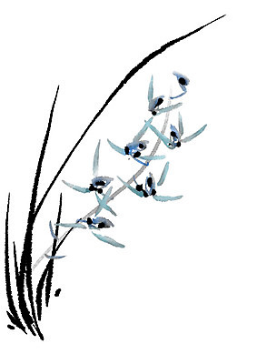 PSD 식물 꽃 여러송이 일러스트 캘리그라피 사람없음 파란색 난초 난초꽃 국내일러스트 컬러 다수 파일형식