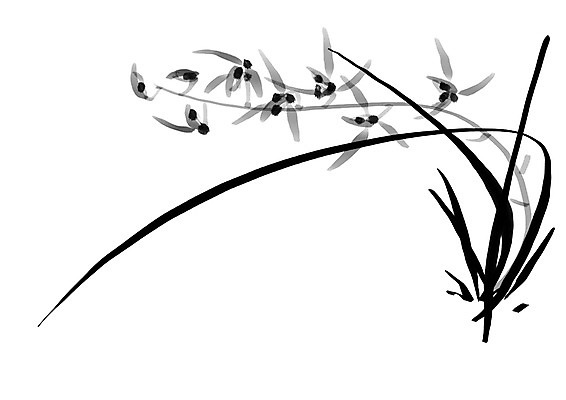 PSD 식물 꽃 여러송이 일러스트 캘리그라피 사람없음 난초 난초꽃 국내일러스트 다수 파일형식