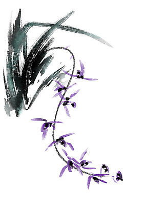 PSD 식물 꽃 여러송이 일러스트 캘리그라피 사람없음 보라색 난초 난초꽃 국내일러스트 컬러 다수 파일형식