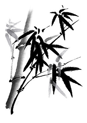 PSD 나무 식물 일러스트 캘리그라피 사람없음 대나무 대나무잎 국내일러스트 잎 파일형식