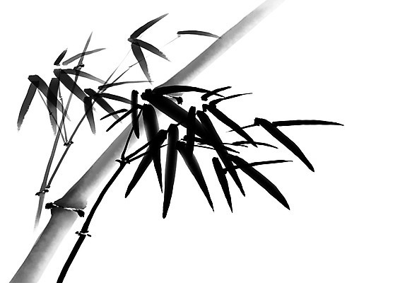 PSD 나무 식물 일러스트 캘리그라피 사람없음 대나무 대나무잎 국내일러스트 잎 파일형식