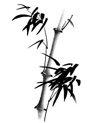 PSD 나무 식물 일러스트 캘리그라피 사람없음 대나무 대나무잎 국내일러스트 잎 파일형식