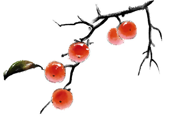 PSD 식물 일러스트 캘리그라피 나뭇잎 감 사람없음 여러개 나뭇가지 앙상함 국내일러스트 나무 다수 잎 과일 파일형식