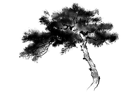 PSD 식물 일러스트 캘리그라피 한그루 사람없음 소나무 국내일러스트 나무 1 파일형식