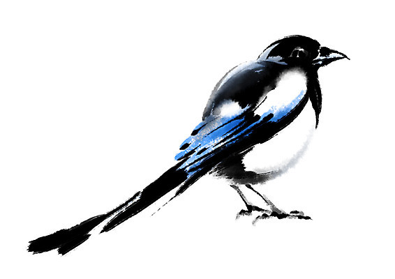 PSD 동물 한마리 일러스트 캘리그라피 조류 사람없음 까치 국내일러스트 1 파일형식