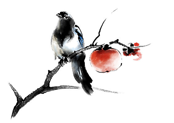 PSD 동물 한마리 일러스트 캘리그라피 조류 감 사람없음 한개 나뭇가지 까치 국내일러스트 나무 1 과일 파일형식