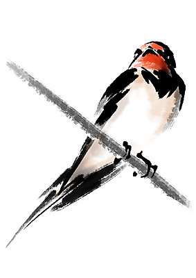 PSD 동물 한마리 줄 일러스트 캘리그라피 조류 사람없음 제비 국내일러스트 1 파일형식