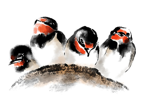 PSD 동물 여러마리 일러스트 캘리그라피 조류 사람없음 둥지 제비 국내일러스트 다수 파일형식