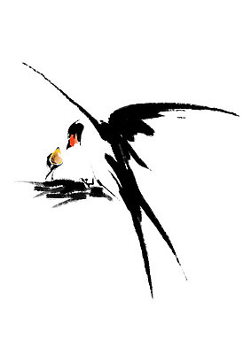 PSD 동물 새끼 두마리 일러스트 캘리그라피 조류 사람없음 어미 둥지 제비 국내일러스트 2 파일형식