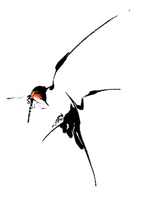 PSD 동물 한마리 일러스트 캘리그라피 조류 사람없음 비행 먹이 제비 국내일러스트 1 파일형식