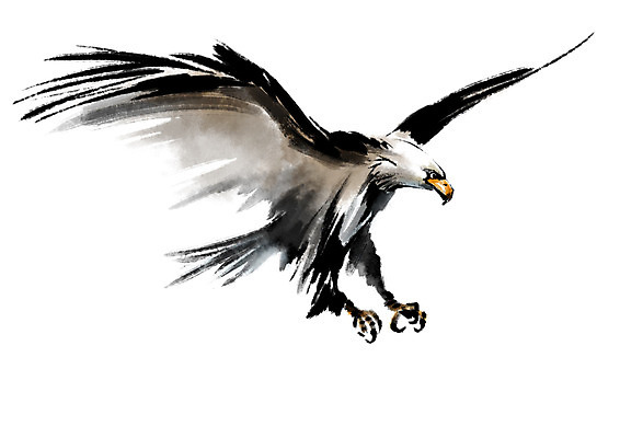 PSD 동물 한마리 일러스트 캘리그라피 조류 사람없음 비행 독수리 국내일러스트 1 파일형식