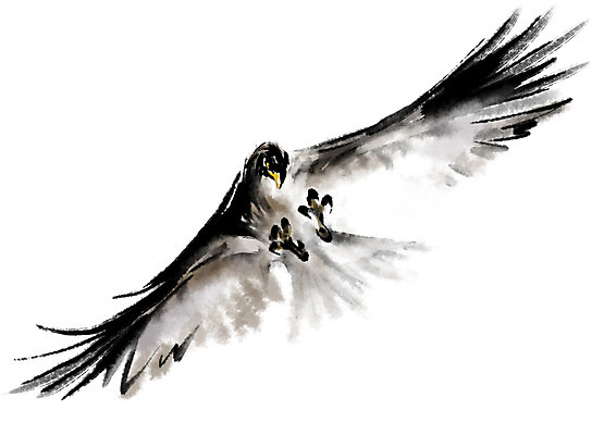 PSD 동물 한마리 일러스트 캘리그라피 조류 사람없음 비행 독수리 국내일러스트 1 파일형식