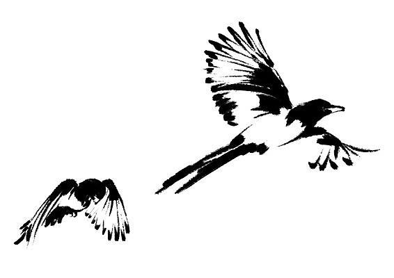 PSD 동물 두마리 일러스트 캘리그라피 조류 사람없음 비행 까치 국내일러스트 2 파일형식