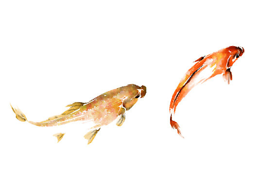 PSD 동물 두마리 일러스트 캘리그라피 어류 사람없음 수영 잉어 국내일러스트 2 수중동물 수상스포츠 파일형식