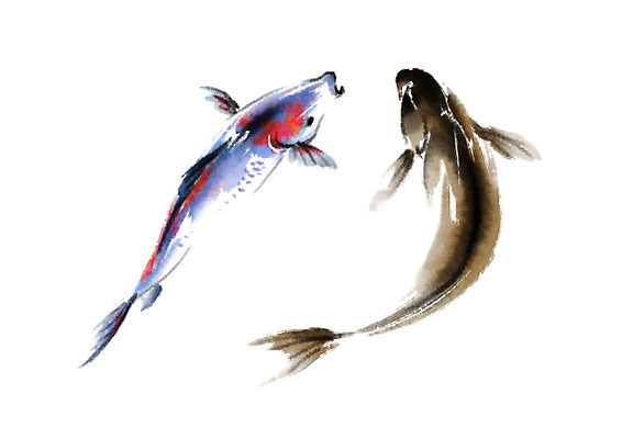 PSD 동물 두마리 일러스트 캘리그라피 어류 사람없음 수영 잉어 국내일러스트 2 수중동물 수상스포츠 파일형식
