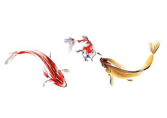 PSD 동물 일러스트 캘리그라피 세마리 어류 사람없음 수영 잉어 국내일러스트 3 수중동물 수상스포츠 파일형식