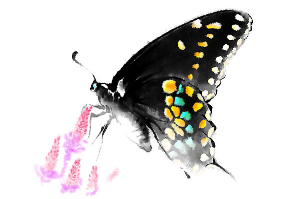 PSD 동물 한마리 꽃 나비 곤충 일러스트 캘리그라피 사람없음 호랑나비 국내일러스트 식물 1 파일형식