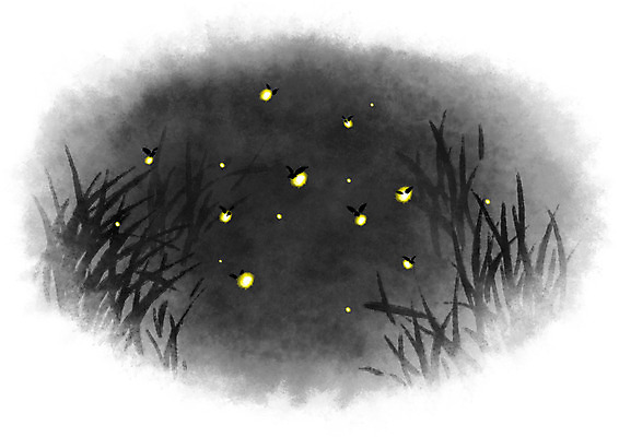 PSD 동물 여러마리 일러스트 캘리그라피 사람없음 야외 빛 어둠 개똥벌레 반딧불이 국내일러스트 다수 곤충 벌레 파일형식