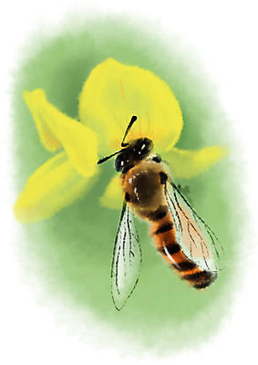 PSD 동물 한마리 꽃 곤충 일러스트 캘리그라피 사람없음 꿀벌 벌 국내일러스트 식물 1 벌_곤충 파일형식