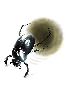 PSD 동물 한마리 곤충 일러스트 캘리그라피 사람없음 원형 변 쇠똥구리 국내일러스트 도형 1 파일형식