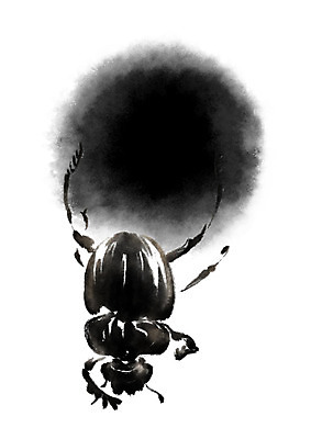 PSD 동물 한마리 곤충 일러스트 캘리그라피 사람없음 원형 변 쇠똥구리 국내일러스트 도형 1 파일형식