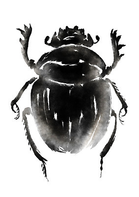 PSD 동물 한마리 곤충 일러스트 캘리그라피 사람없음 쇠똥구리 국내일러스트 1 파일형식