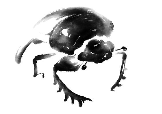 PSD 동물 한마리 곤충 일러스트 캘리그라피 사람없음 쇠똥구리 국내일러스트 1 파일형식