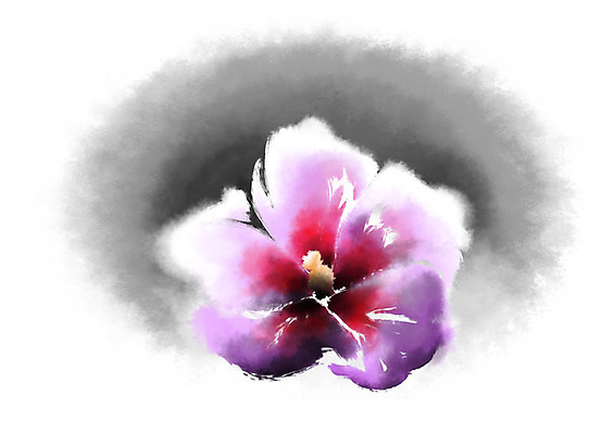 PSD 식물 꽃 분홍색 한송이 일러스트 캘리그라피 사람없음 무궁화 나라꽃 국내일러스트 1 컬러 송이 파일형식