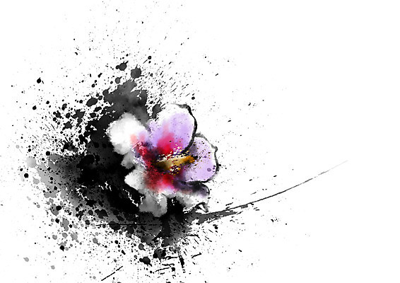 PSD 식물 꽃 분홍색 한송이 일러스트 캘리그라피 사람없음 얼룩 무궁화 나라꽃 국내일러스트 1 컬러 송이 파일형식