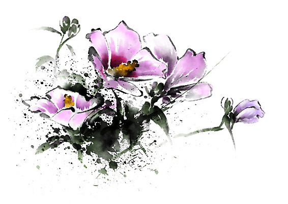 PSD 식물 꽃 분홍색 여러송이 일러스트 캘리그라피 사람없음 얼룩 무궁화 나라꽃 국내일러스트 컬러 다수 파일형식