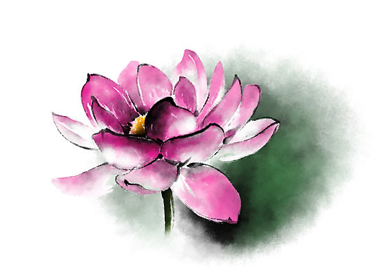 PSD 식물 꽃 분홍색 한송이 일러스트 캘리그라피 연꽃 사람없음 국내일러스트 1 컬러 송이 파일형식