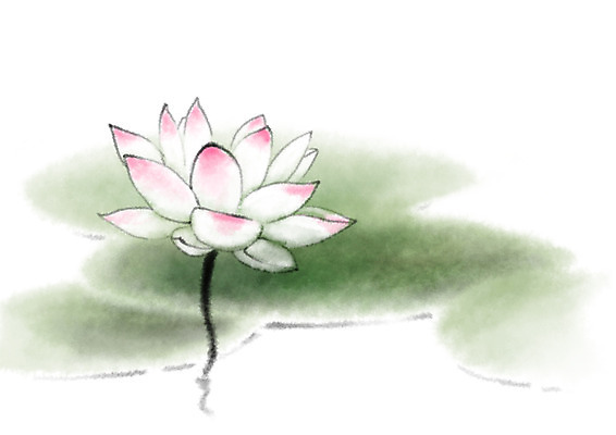 PSD 식물 꽃 분홍색 한송이 일러스트 캘리그라피 연꽃 사람없음 연잎 국내일러스트 1 컬러 잎 송이 파일형식