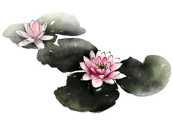 PSD 식물 꽃 분홍색 일러스트 캘리그라피 연꽃 사람없음 두송이 연잎 국내일러스트 컬러 잎 2 파일형식