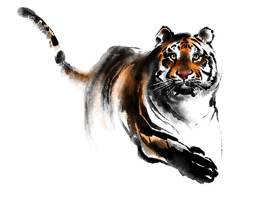 PSD 한마리 한국전통 전통 일러스트 캘리그라피 사람없음 호랑이 국내일러스트 1 포유류 한국 파일형식