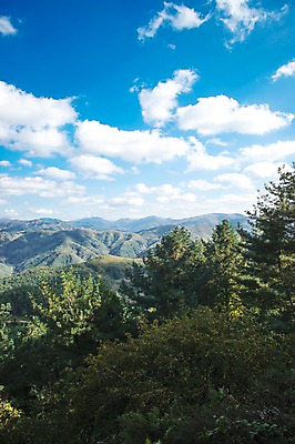 포토 JPG 주간 나무 구름 백그라운드 자연 하늘 산 풍경 사람없음 야외 가을풍경 가을 정선 민둥산 국내포토 자연요소 식물 계절 생태계 강원도 파일형식 가을_계절