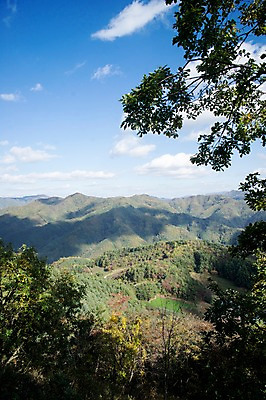 포토 JPG 주간 구름 백그라운드 자연 하늘 산 풍경 사람없음 야외 가을풍경 가을 억새 정선 민둥산 국내포토 자연요소 식물 계절 생태계 강원도 파일형식 가을_계절