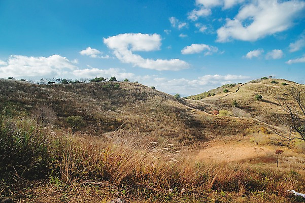 포토 JPG 주간 구름 백그라운드 자연 하늘 산 풍경 사람없음 야외 가을풍경 가을 억새 정선 민둥산 국내포토 자연요소 식물 계절 생태계 강원도 파일형식 가을_계절