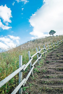 포토 JPG 주간 나무 구름 길 백그라운드 자연 하늘 산 풍경 사람없음 야외 가을풍경 가을 억새 나무울타리 정선 민둥산 국내포토 자연요소 식물 계절 울타리 생태계 강원도 파일형식 가을_계절